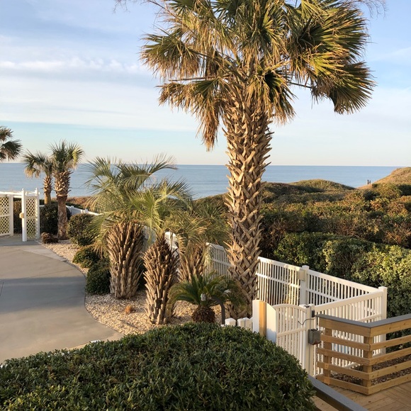 Meet your Posher, Reagan! - Picture 8 of 8